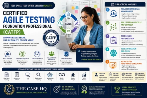 Certified Agile Testing Foundation Professional (CATFP)