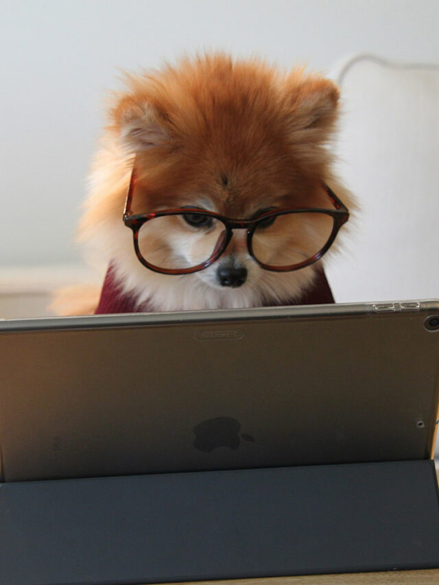 Writing Better Research Papers Active vs Passive Voice Guide