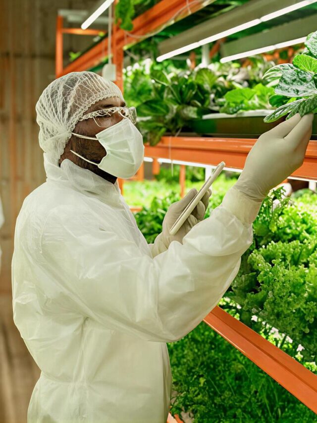 premium_photo-1663011244681-62774ee4b4a6_imgupscaler.ai_Beta_2K_50