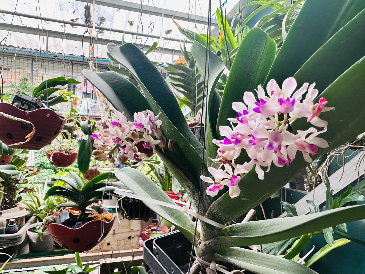 6936a03dbd042 bp cover image